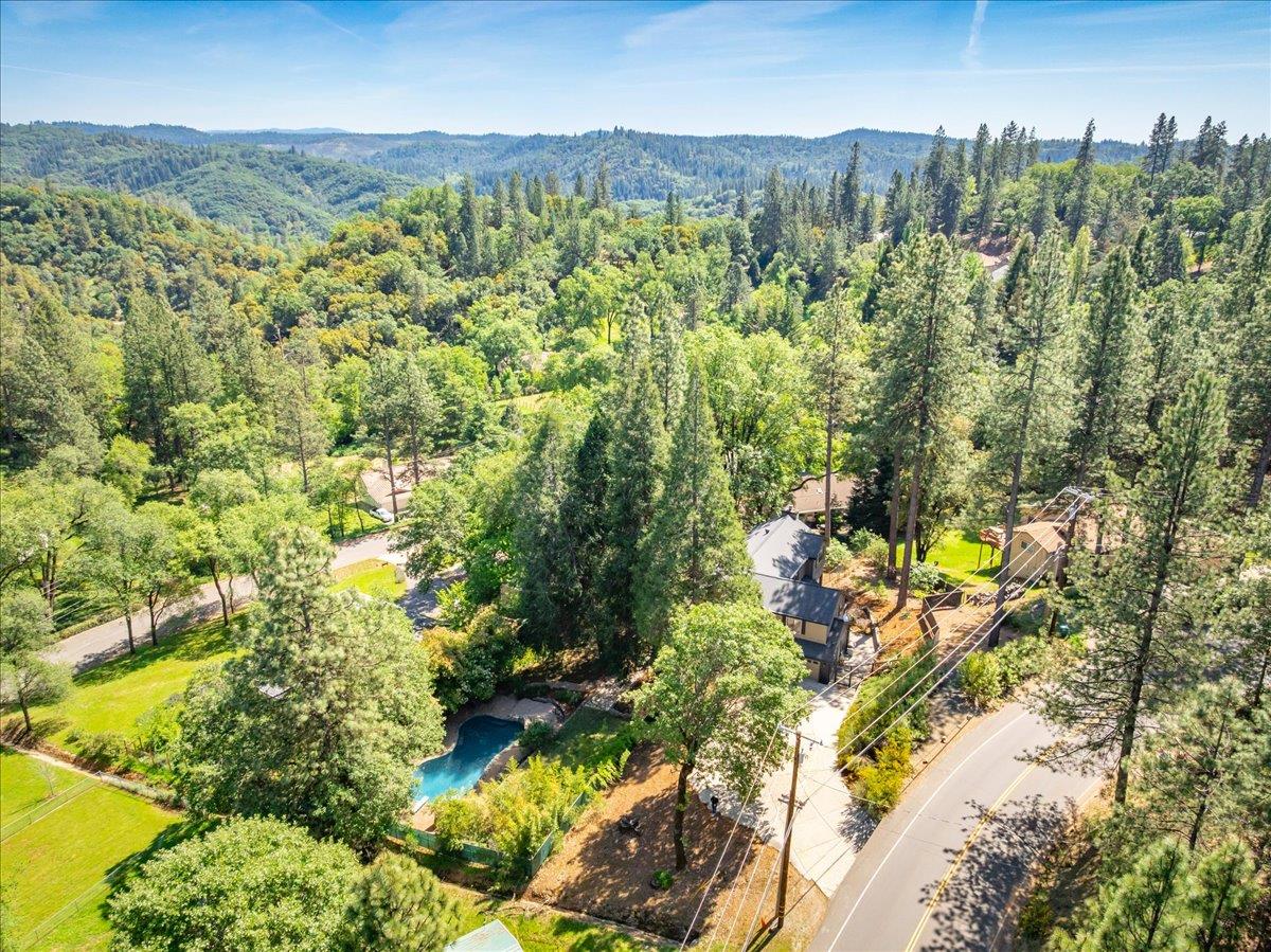 15075 Carrie Drive