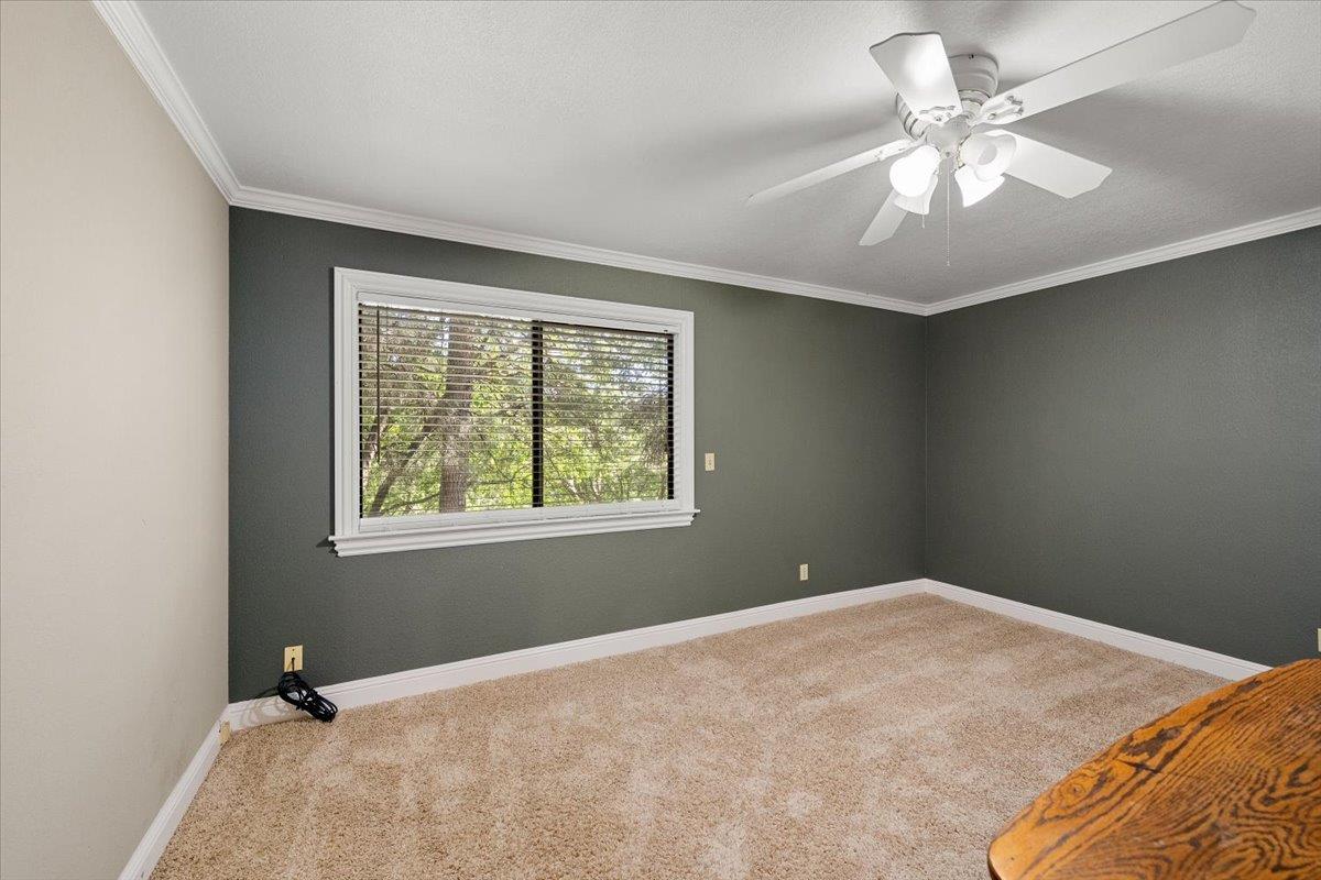 15075 Carrie Drive