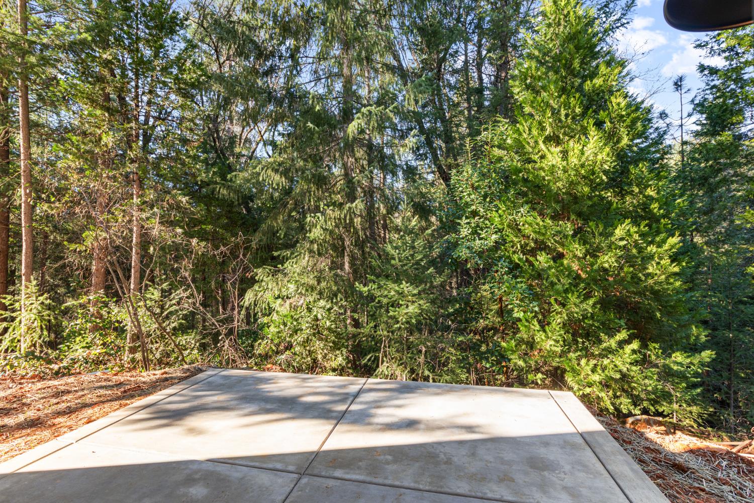 12405 New Brunswick Court