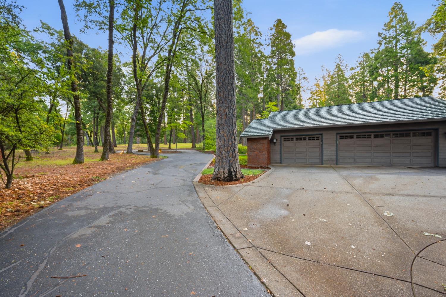 10770 Cement Hill Road