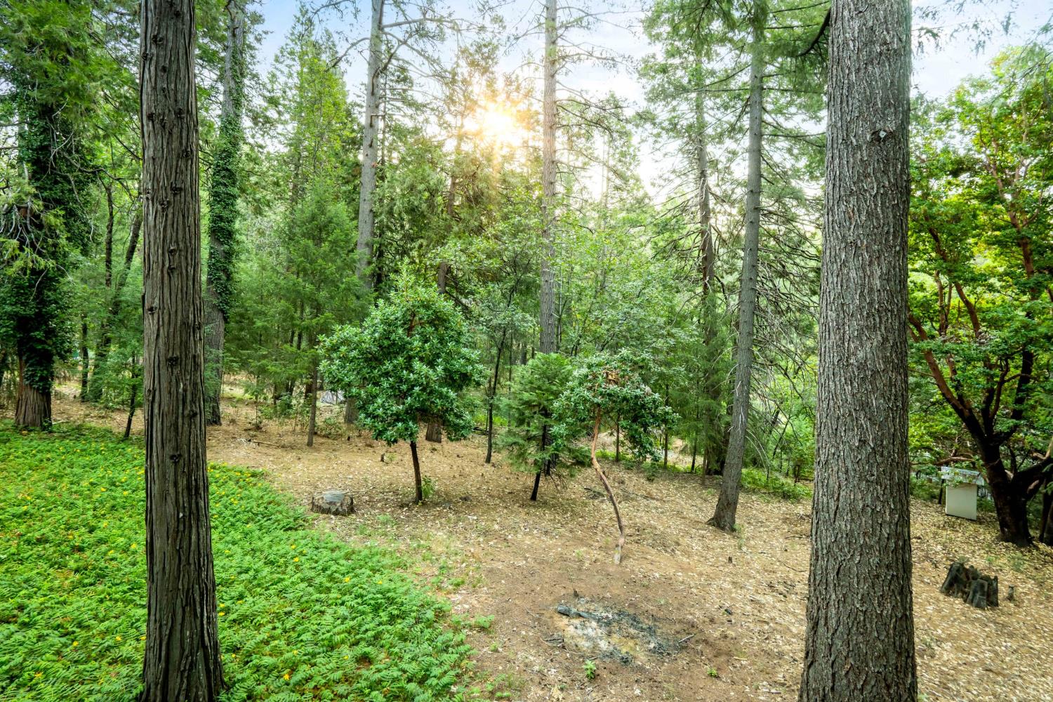 12281 Madrona Way
