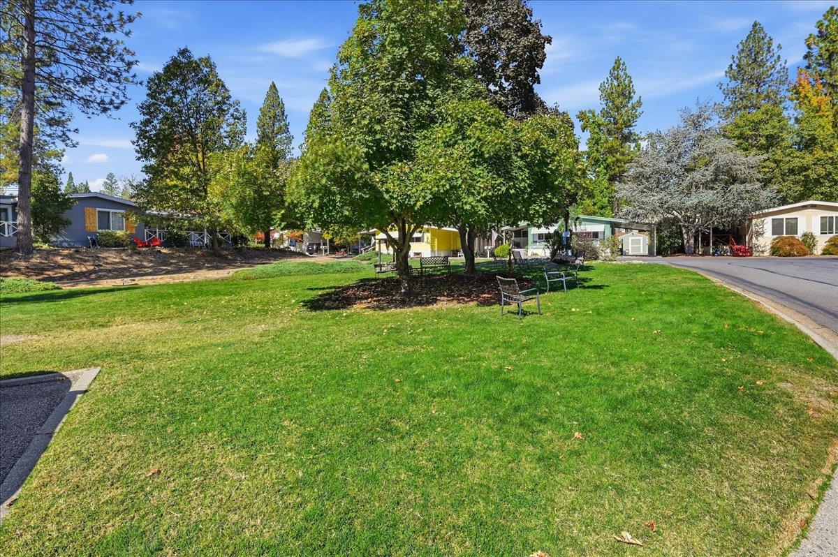 Residential common lawn with mature trees, benches, and homes along a paved road.