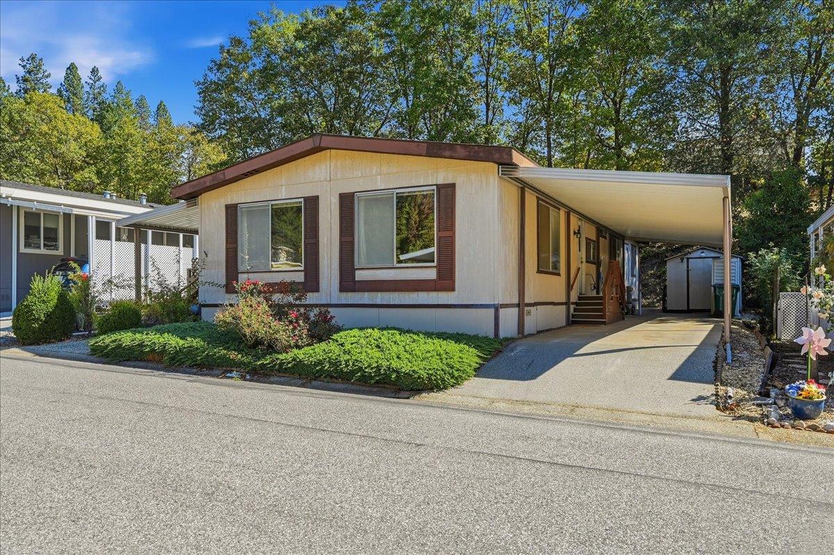Single-story home with a covered carport, landscaped shrubs, and mature trees.