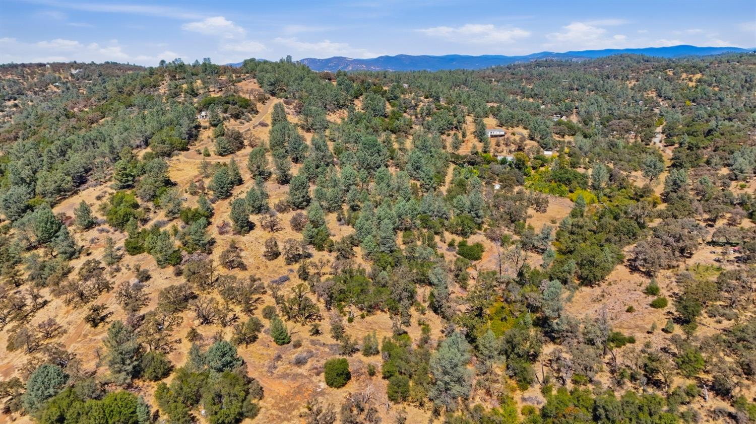 12333 Angel Wing Lane