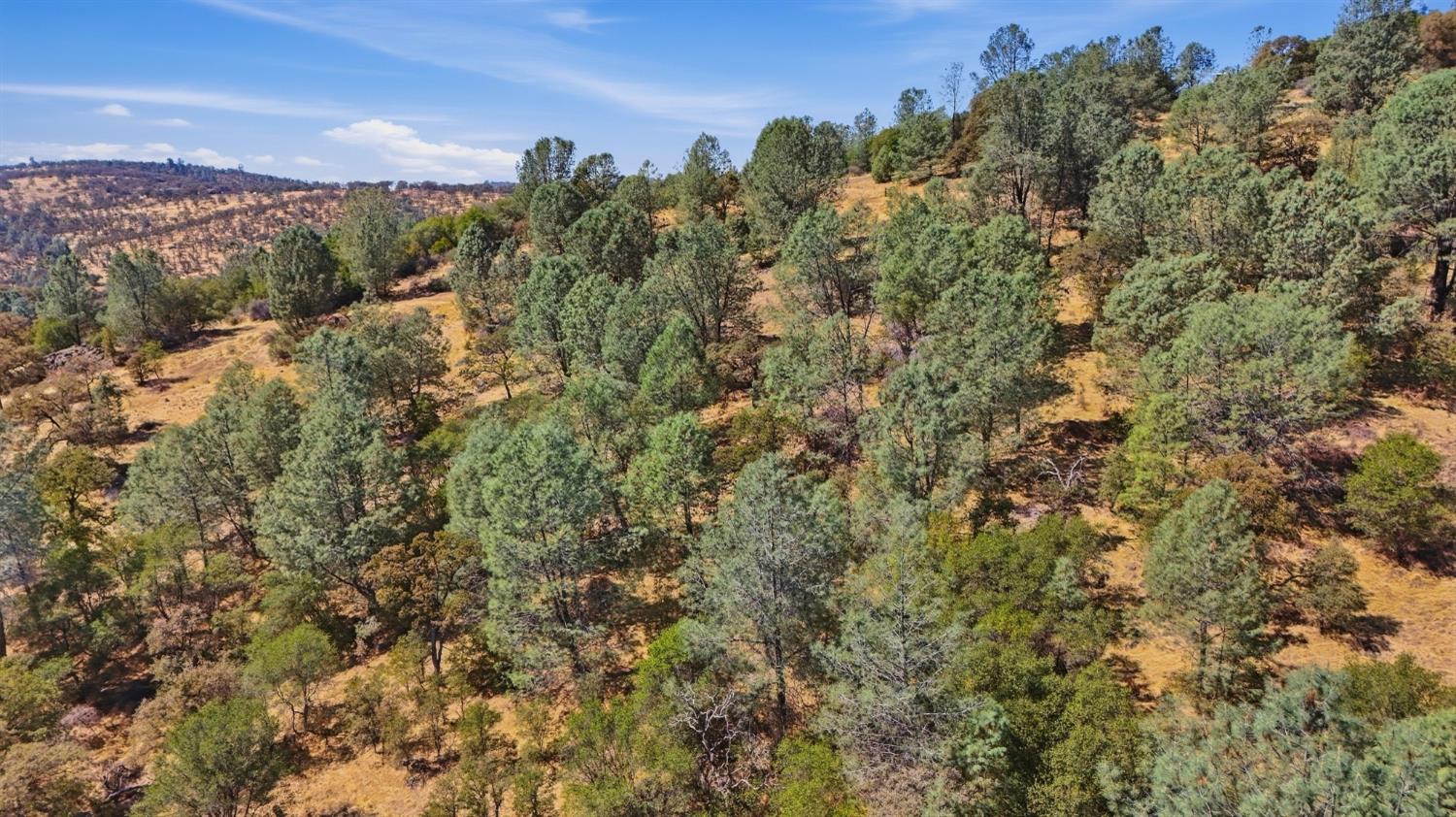 12333 Angel Wing Lane