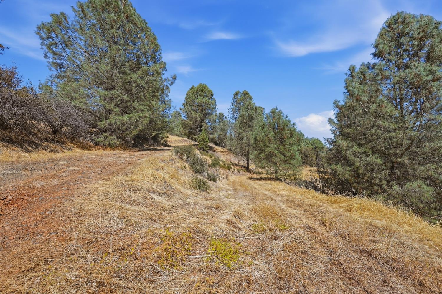 12333 Angel Wing Lane