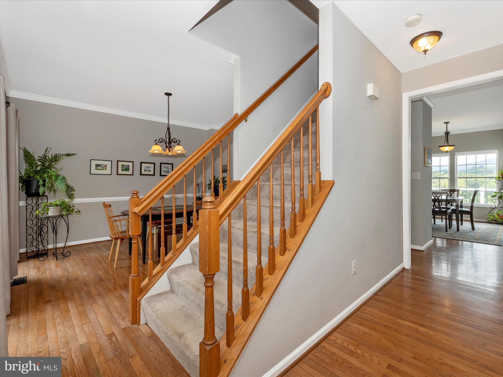 110 IVY HILL DRIVE