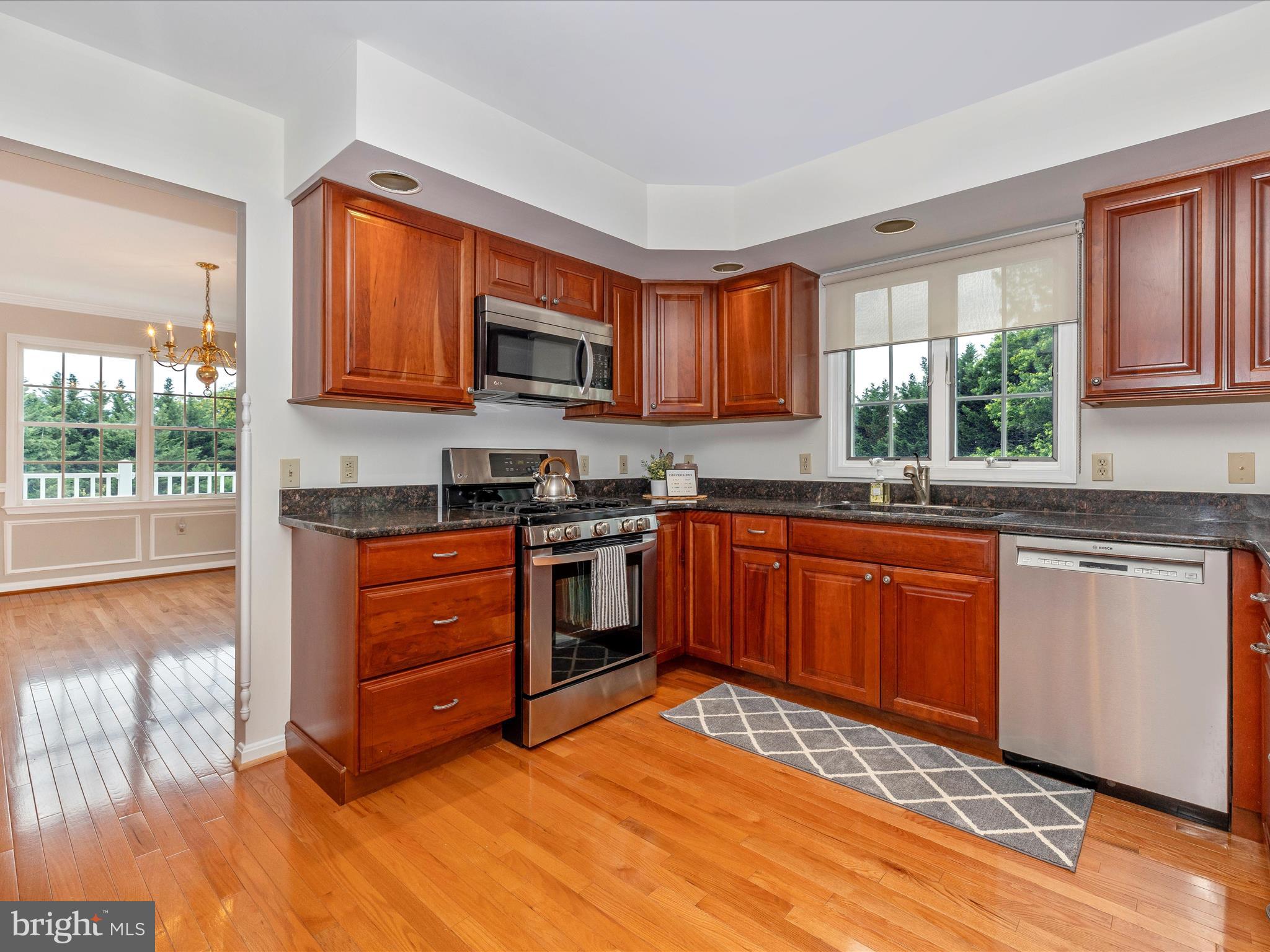 14509 HOLSTEIN COURT