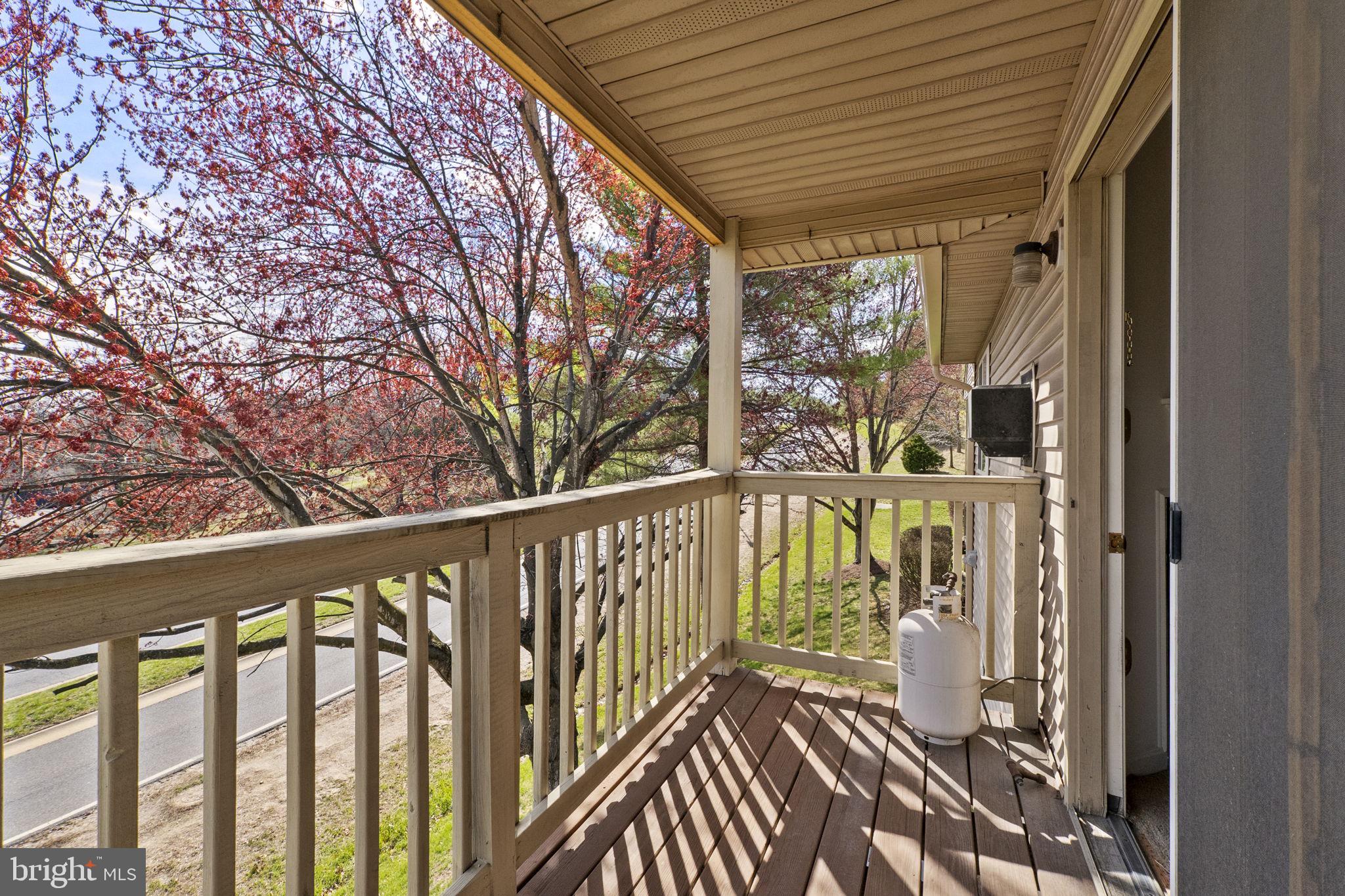 10253 REDTAIL COURT 201F