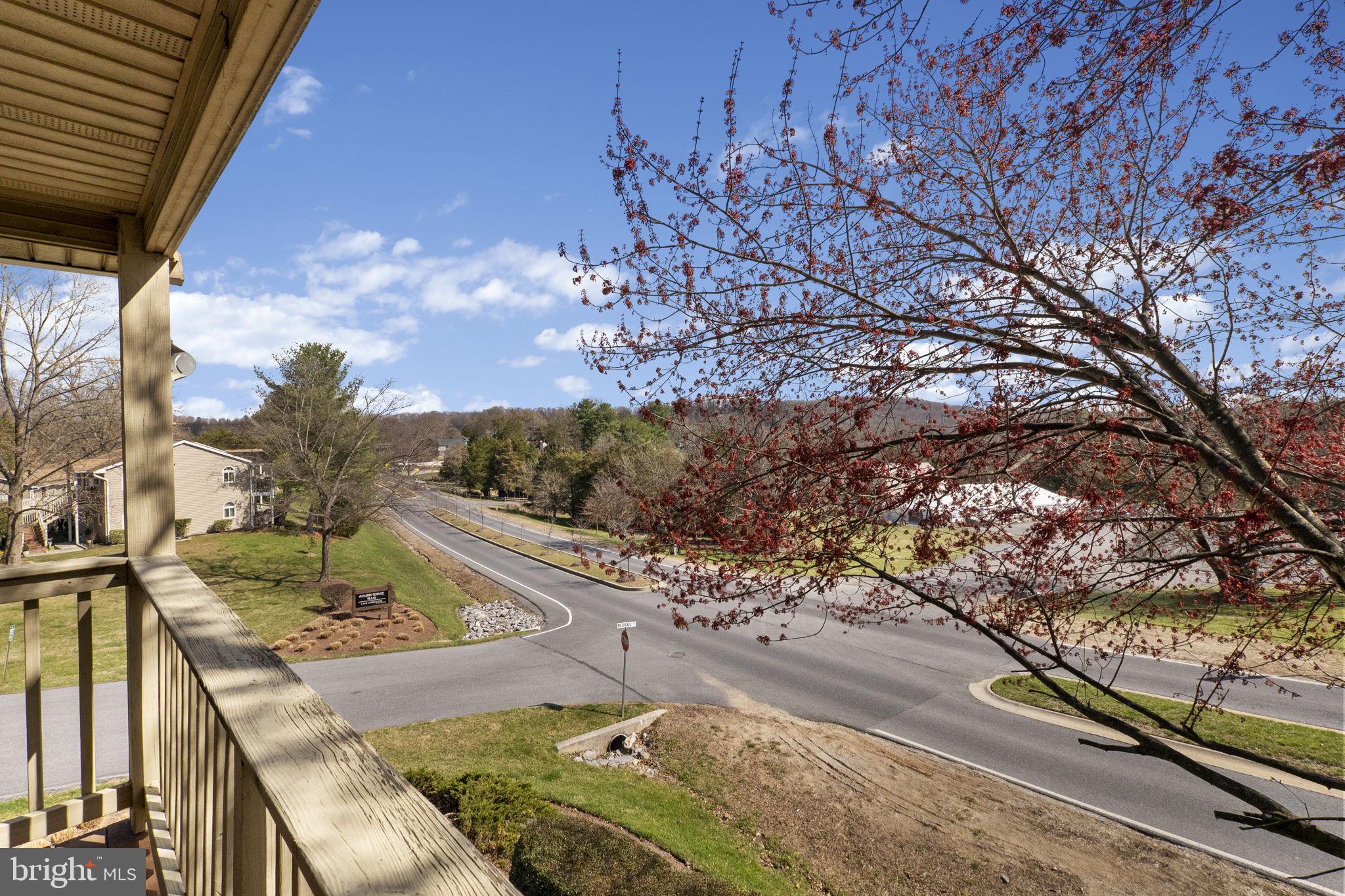 10253 REDTAIL COURT 201F
