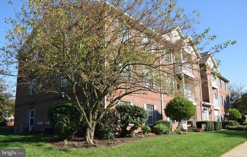 3847 SHADYWOOD DRIVE 1C