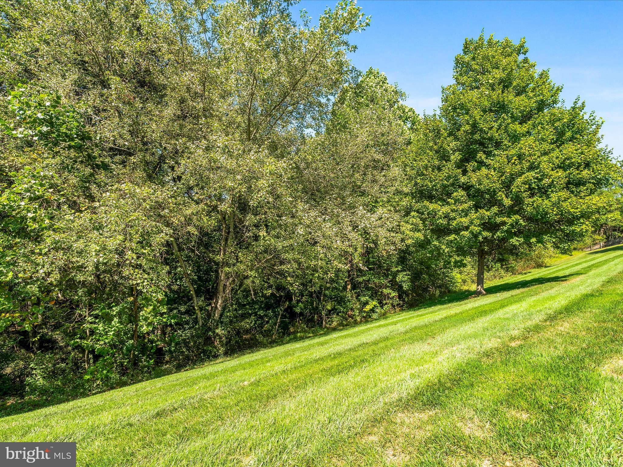 102 NORTH POINTE TERRACE