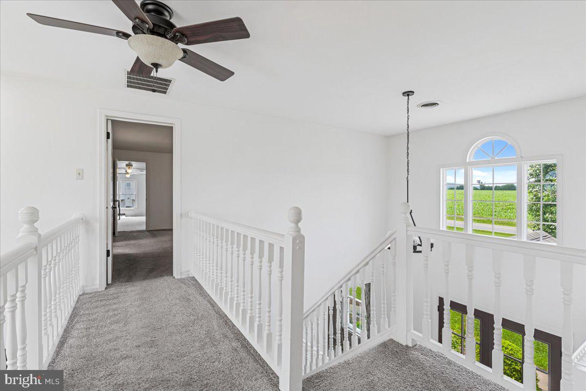 3938 CHERRY LANE