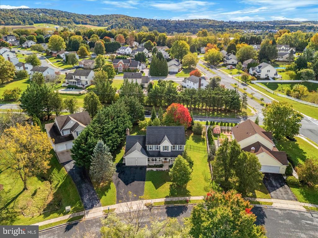 303 CONE BRANCH DRIVE