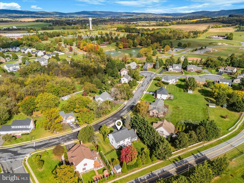 303 CONE BRANCH DRIVE