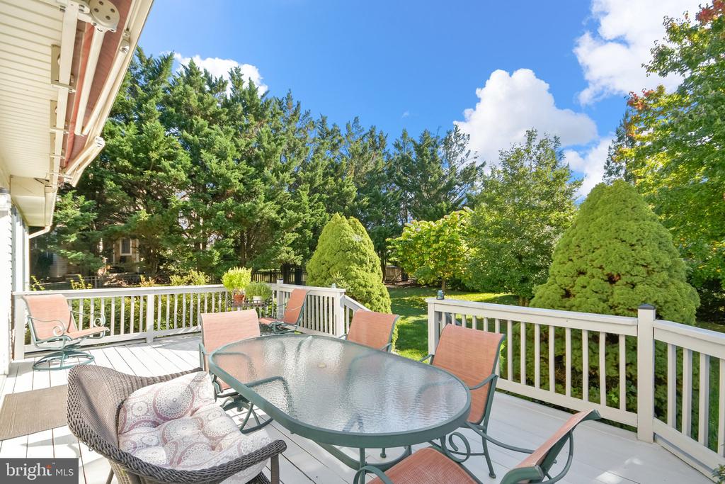 303 CONE BRANCH DRIVE