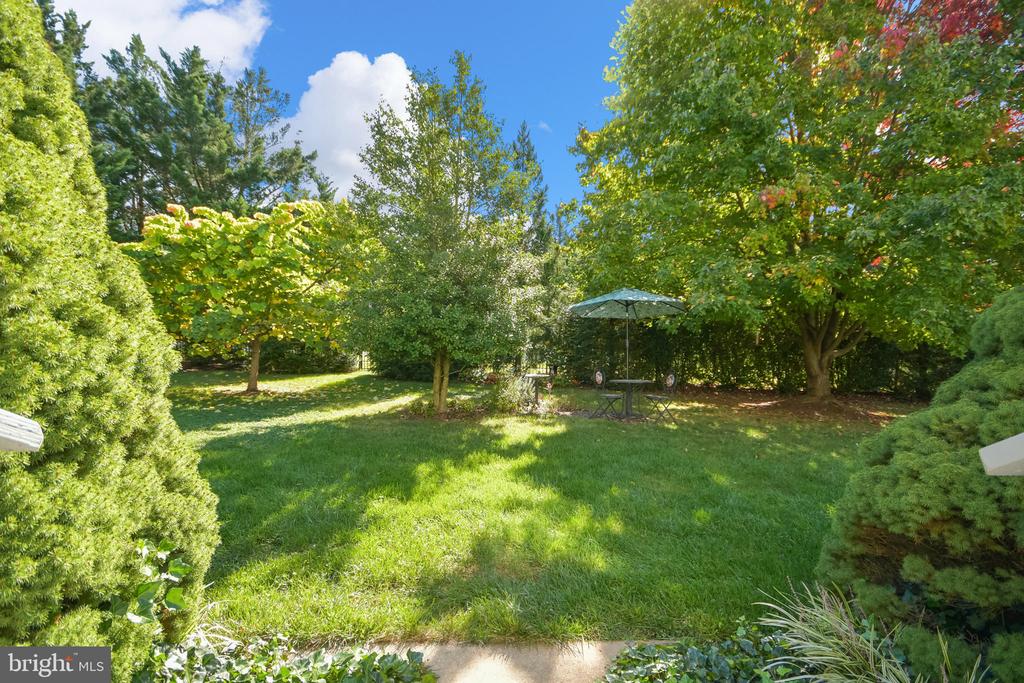 303 CONE BRANCH DRIVE