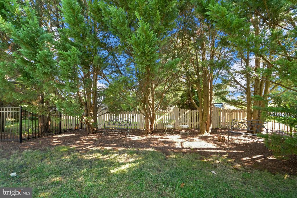 303 CONE BRANCH DRIVE