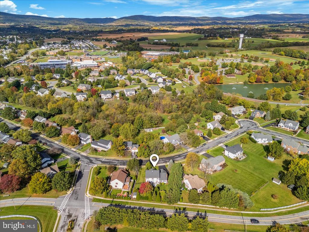 303 CONE BRANCH DRIVE