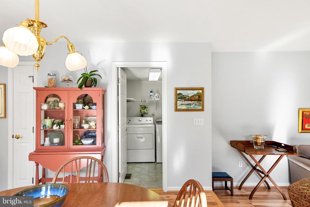 303 CONE BRANCH DRIVE