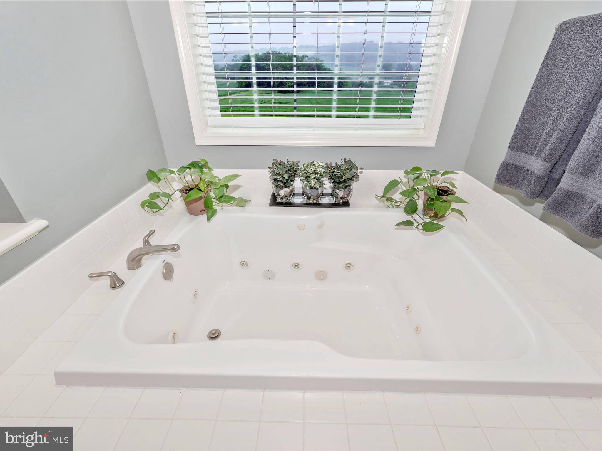 20158 ORCINO FARM LANE