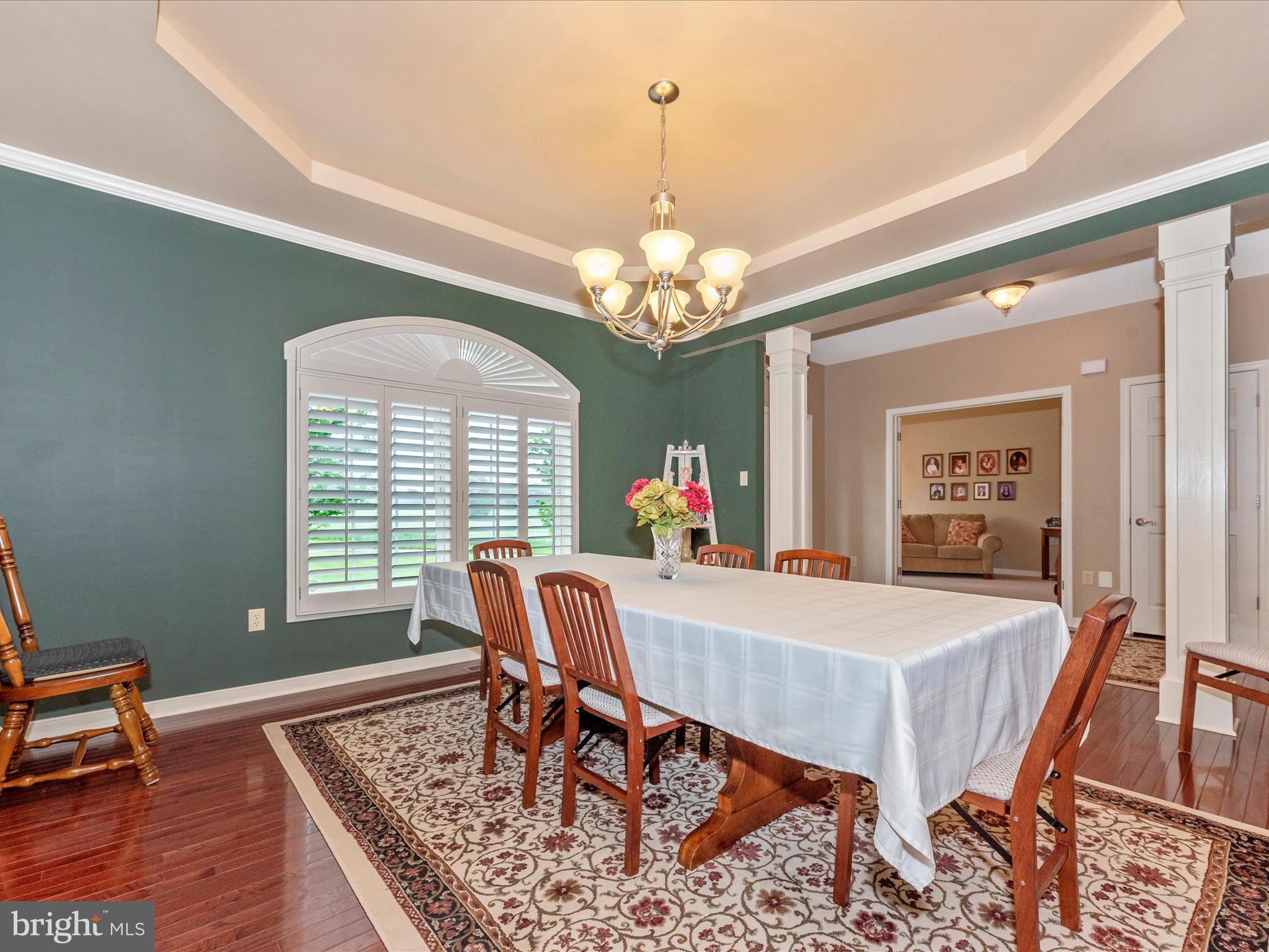 20158 ORCINO FARM LANE