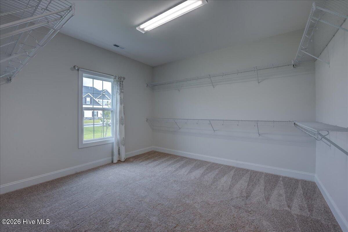 2022 Tarpon Trail