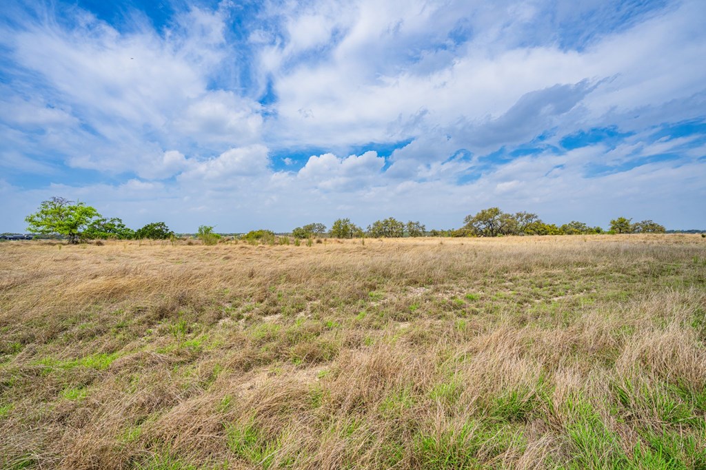 104 Fig Leaf Court # 59