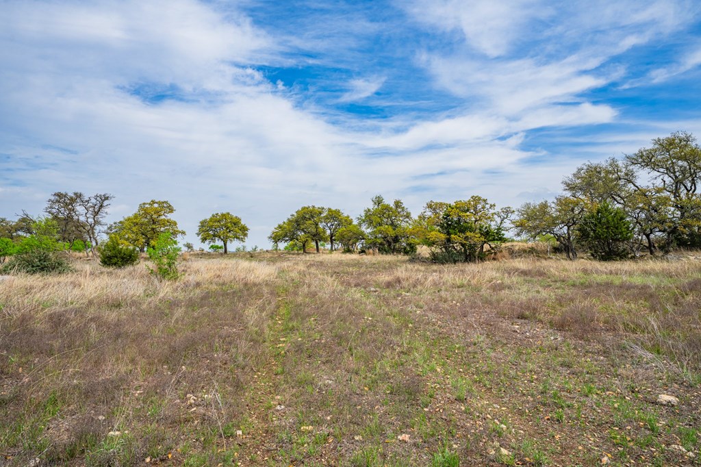 104 Fig Leaf Court # 59