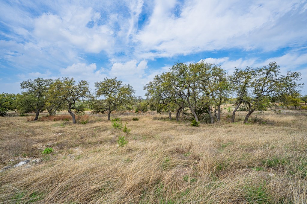 104 Fig Leaf Court # 59