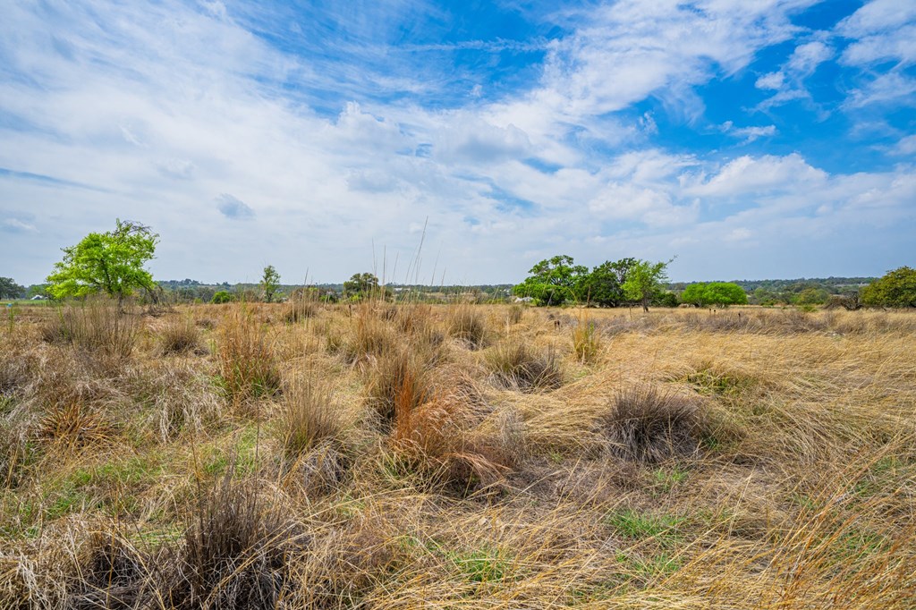 104 Fig Leaf Court # 59