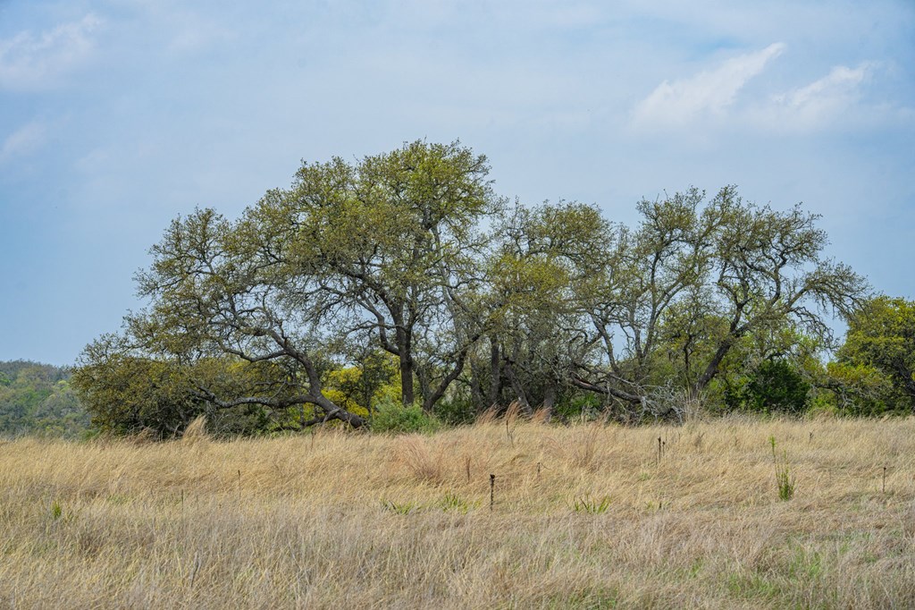 104 Fig Leaf Court # 59