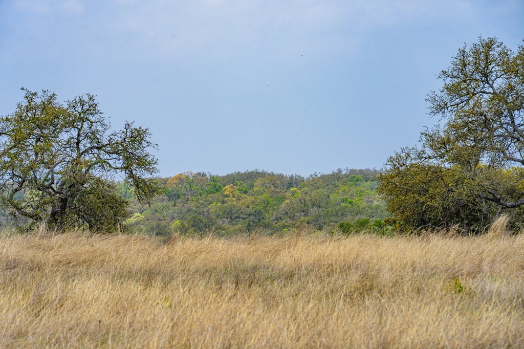 104 Fig Leaf Court # 59