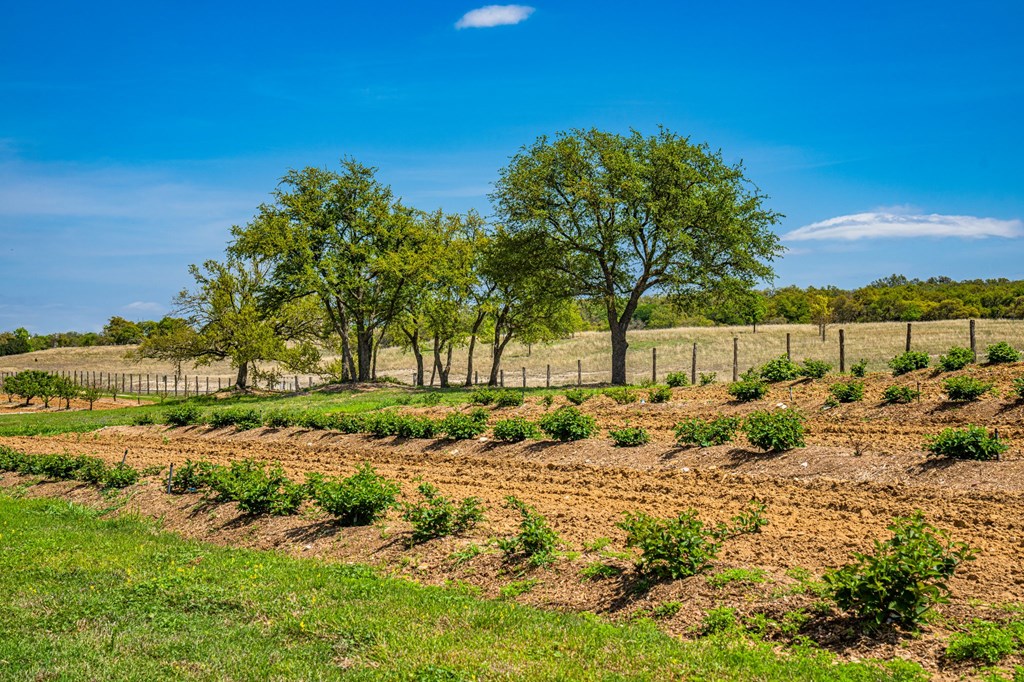 104 Fig Leaf Court # 59