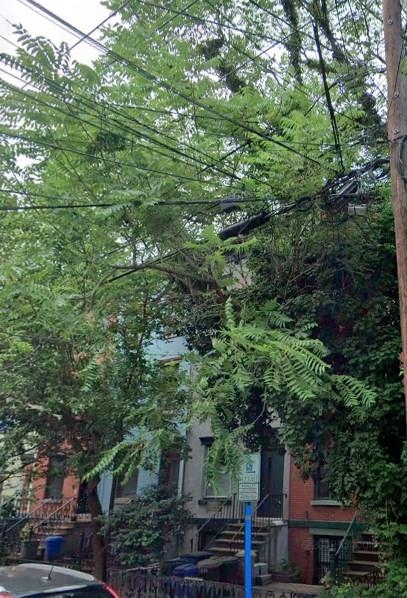 220 GARDEN ST Unit: 1(Grnd)