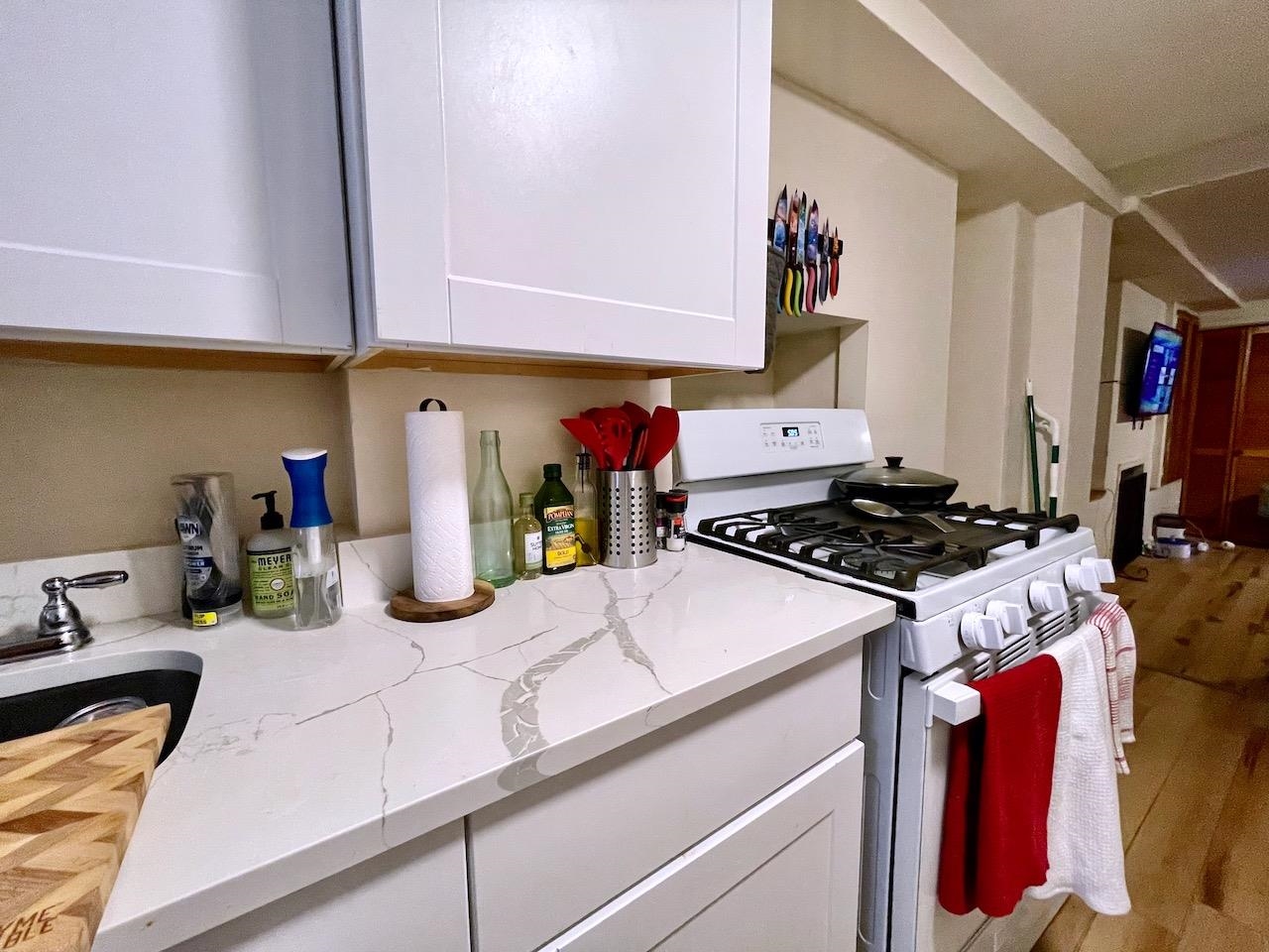 209 OGDEN AVE Unit: 1