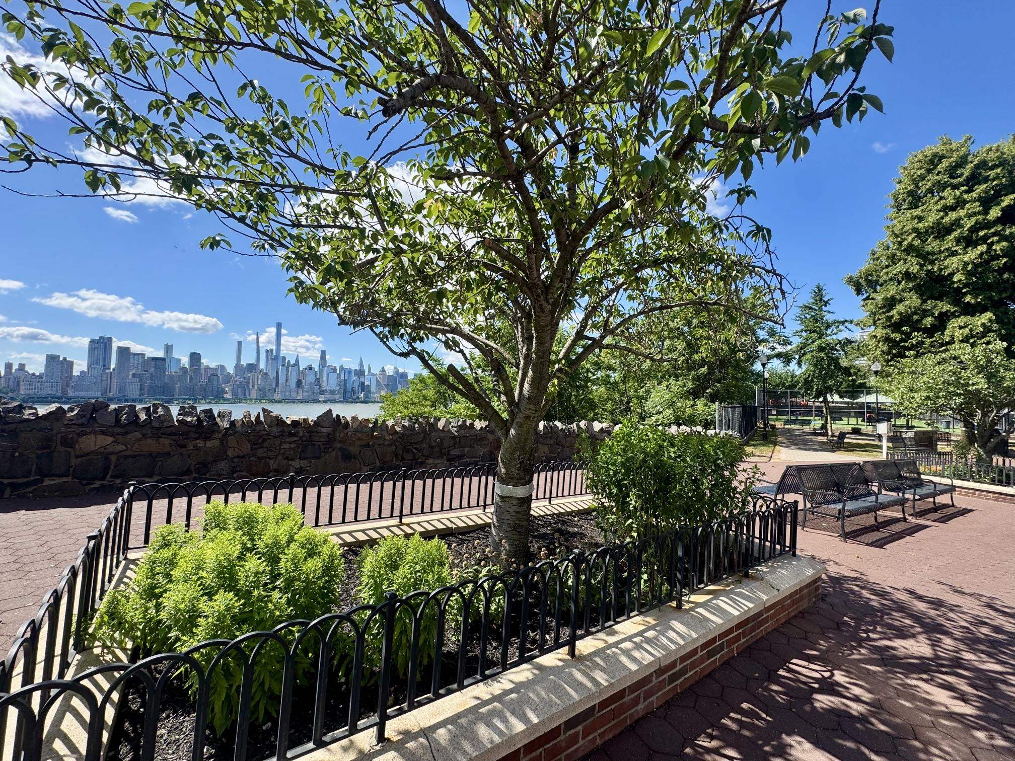 27 66TH ST Unit: #8