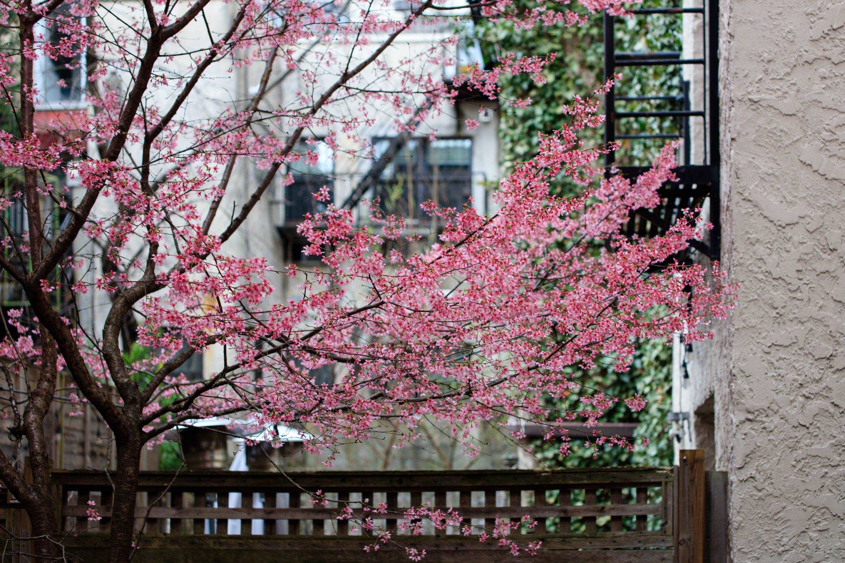 151 2ND ST Unit: 1C