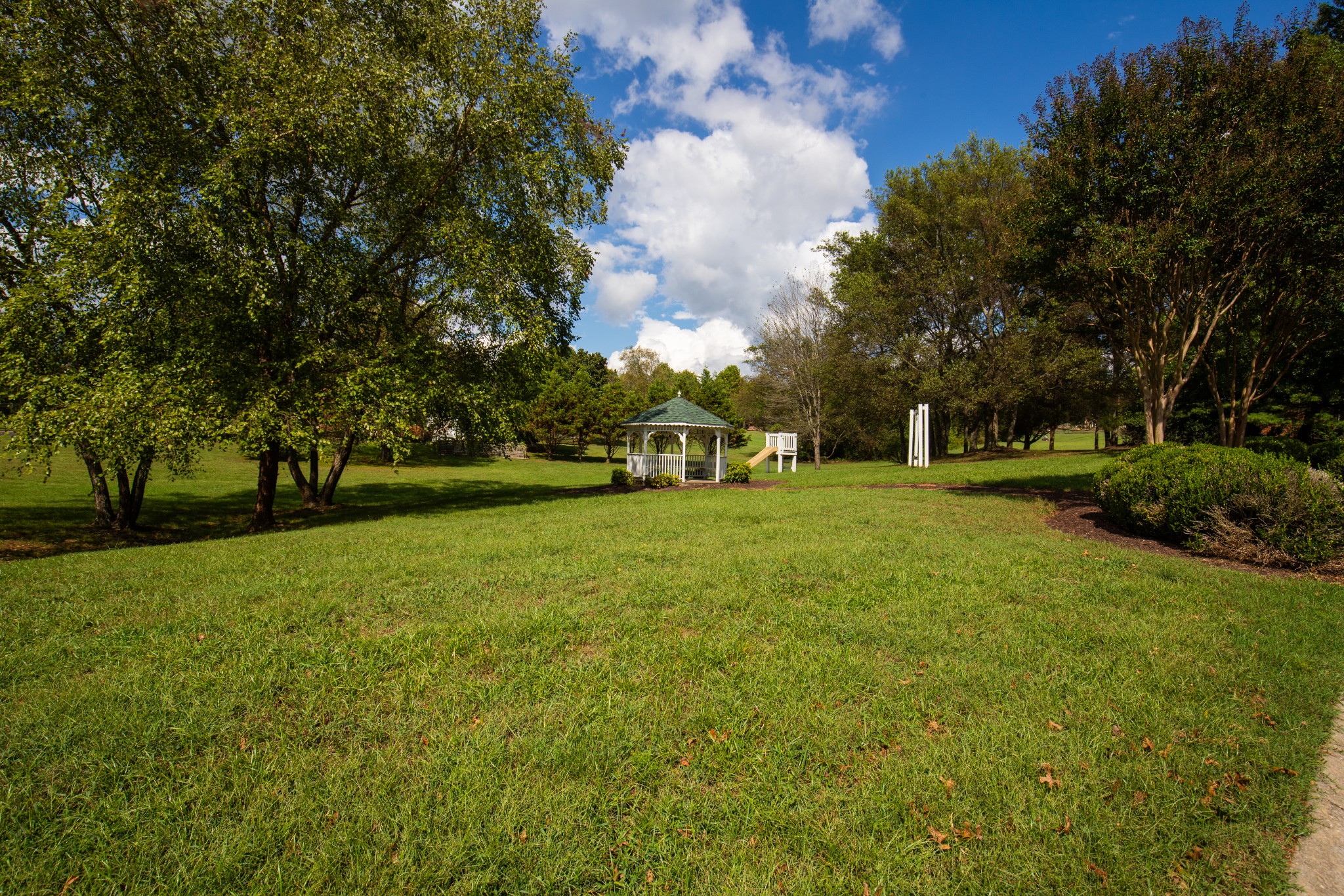 113 Chester Stevens Rd