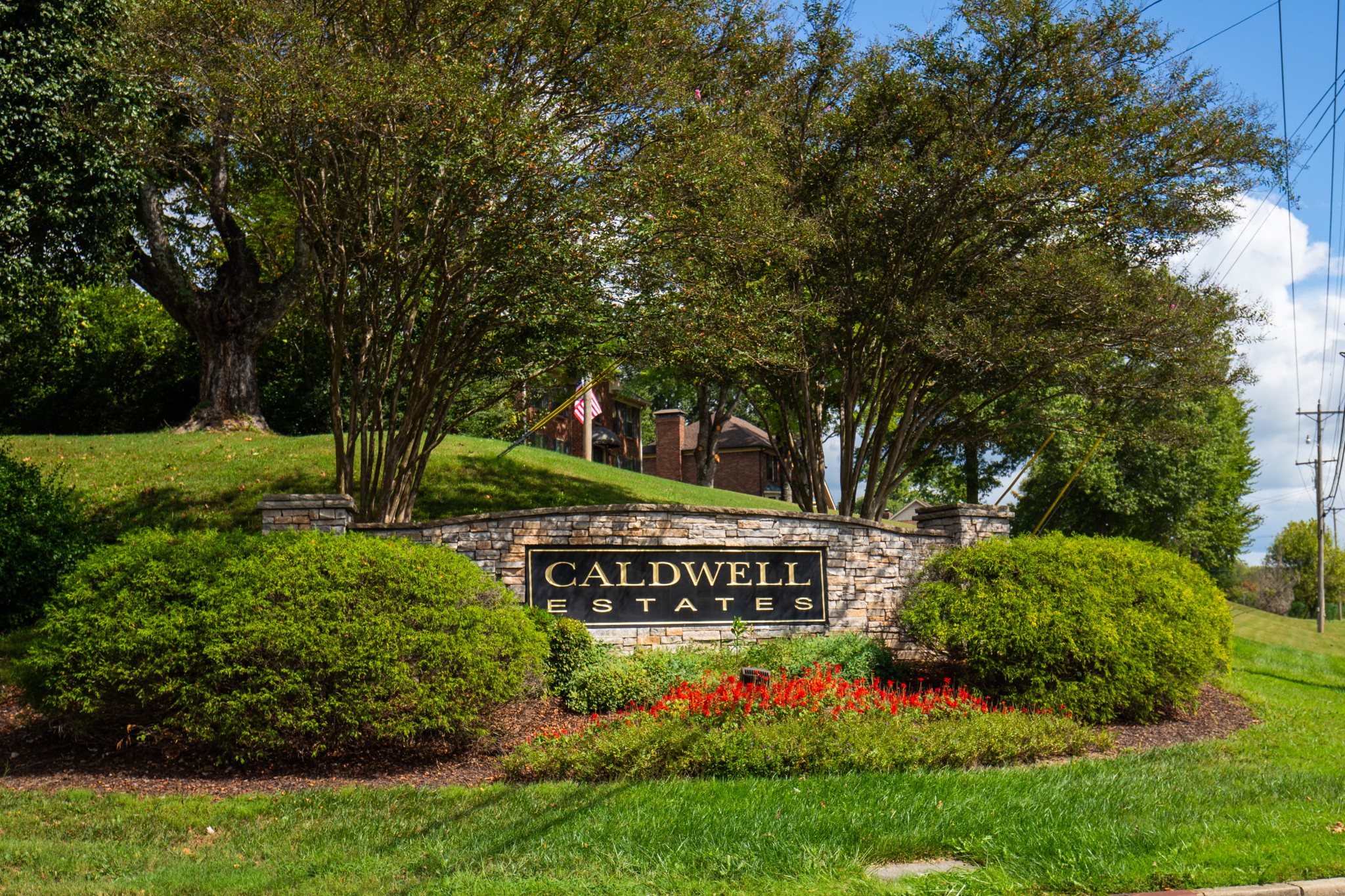 113 Chester Stevens Rd