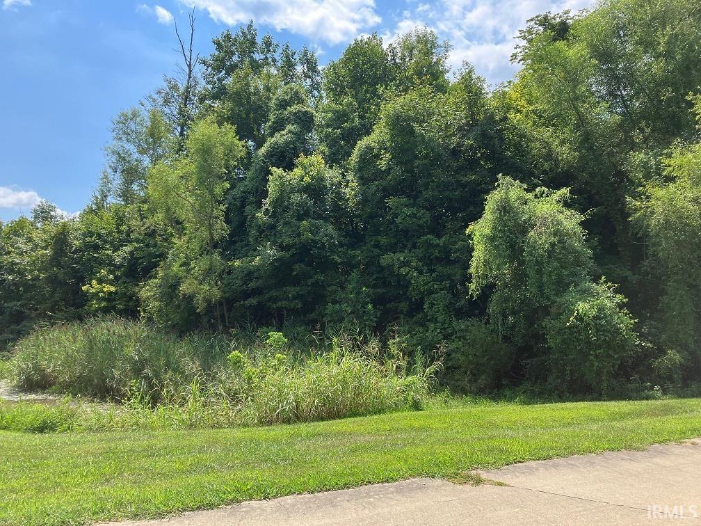 Lot 66 Azteca Drive