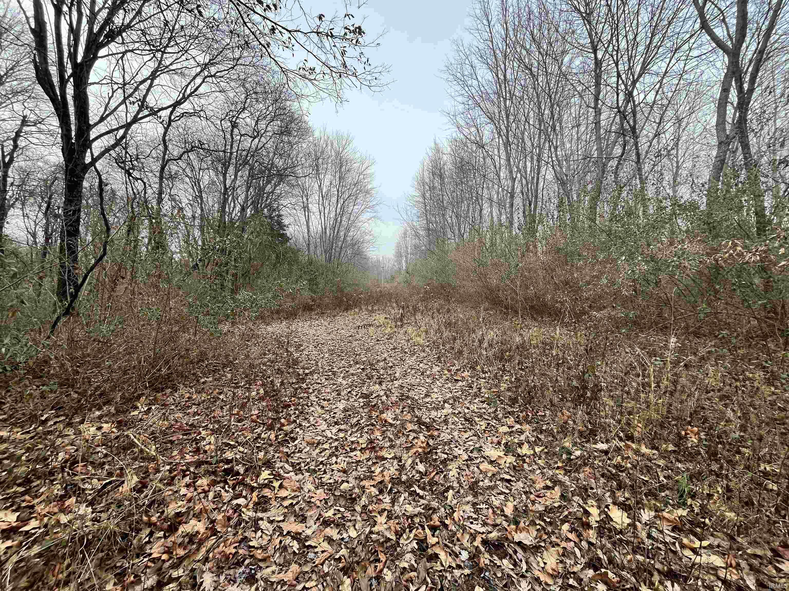 Applegate Road