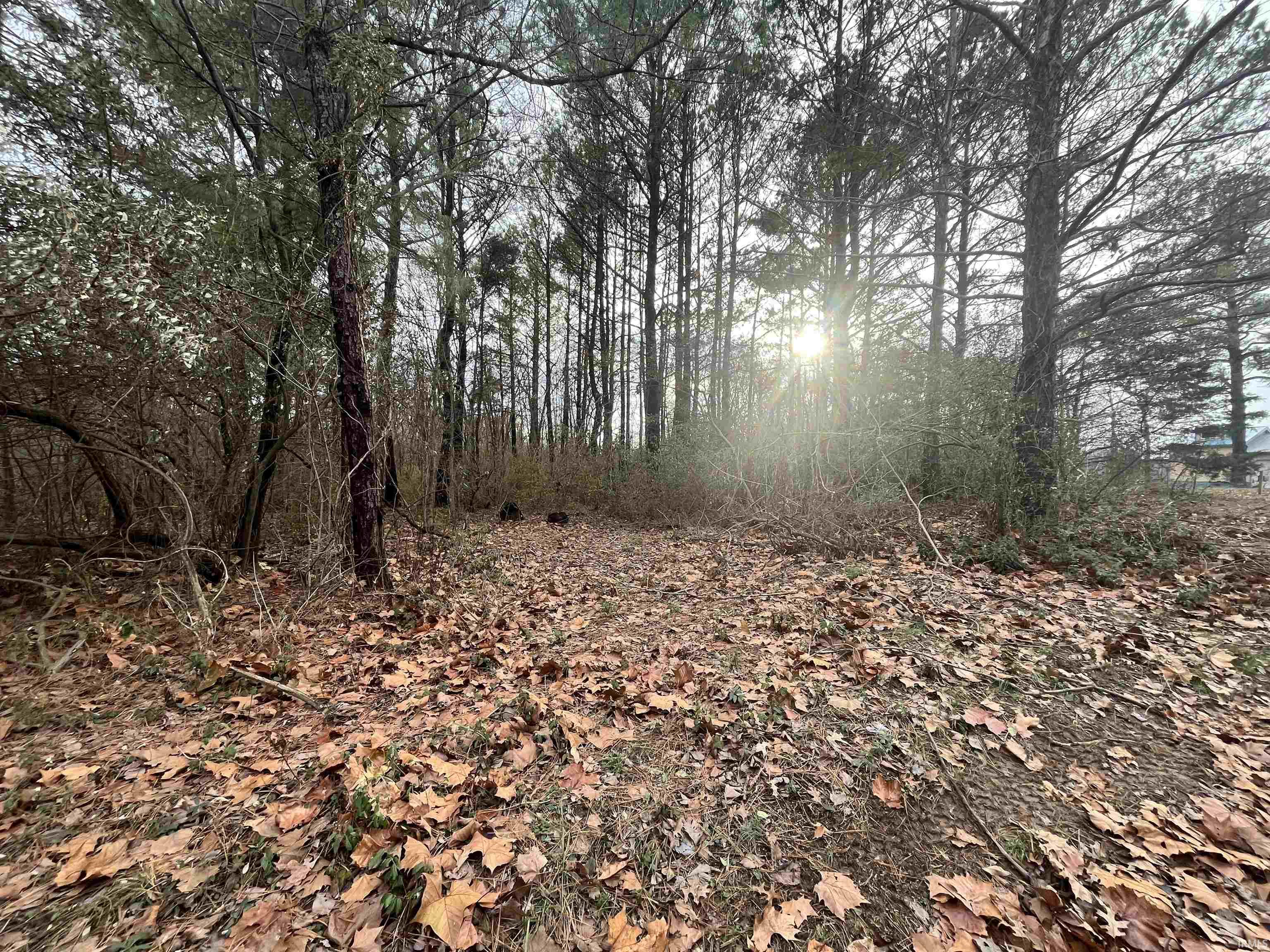 Applegate Road