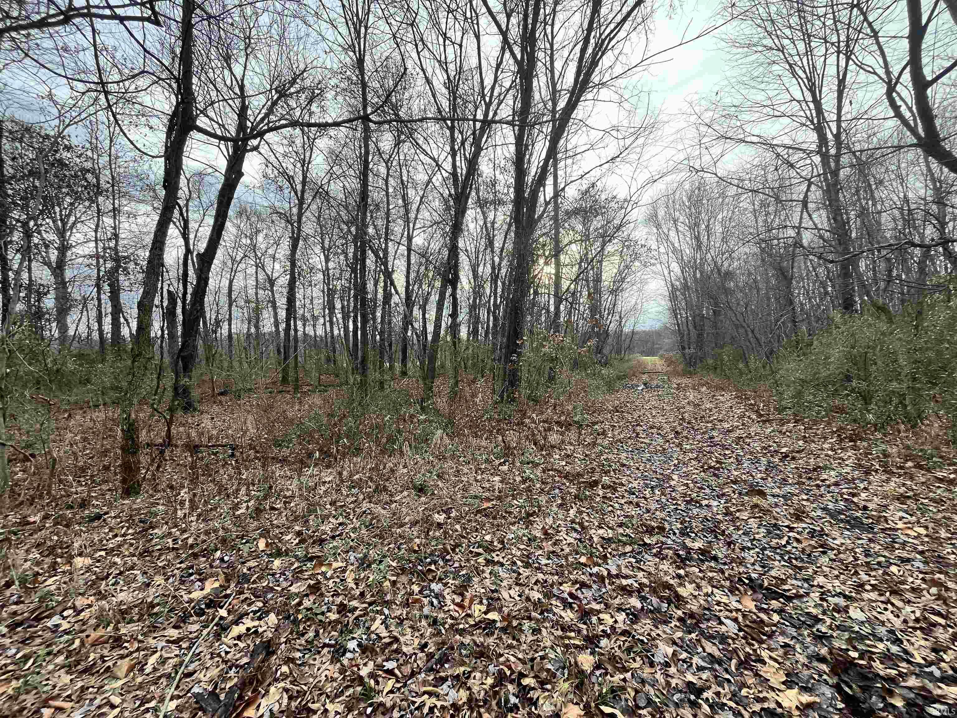 Applegate Road