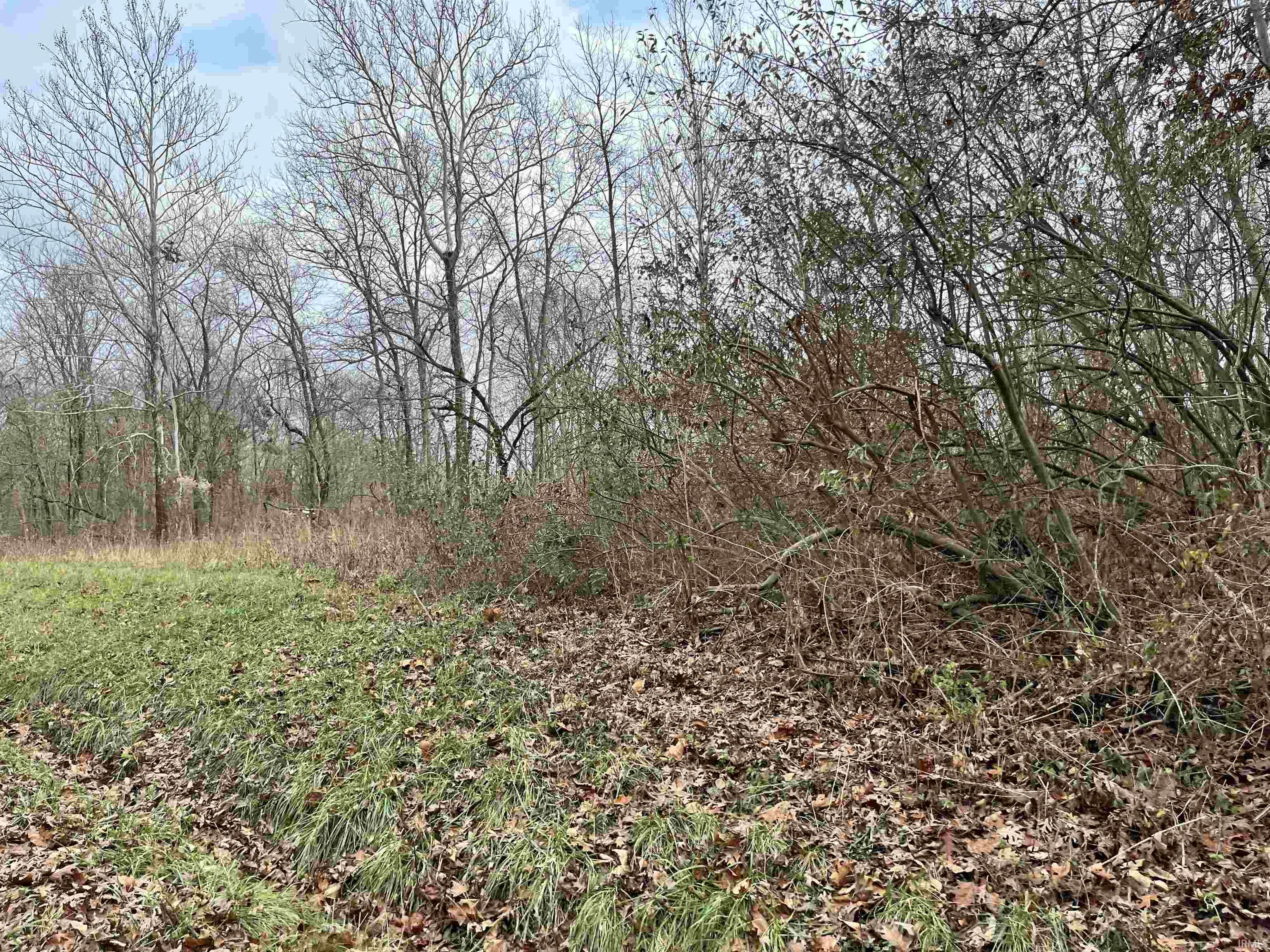 Applegate Road
