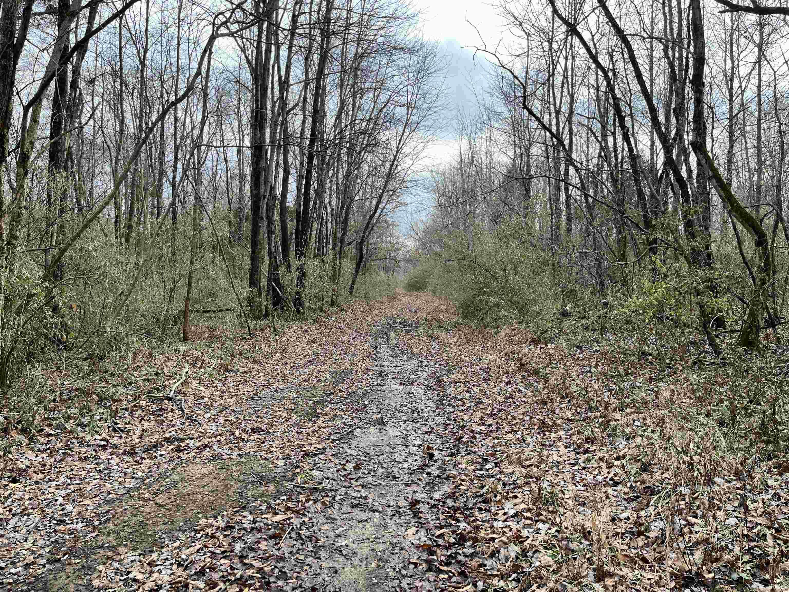 Applegate Road