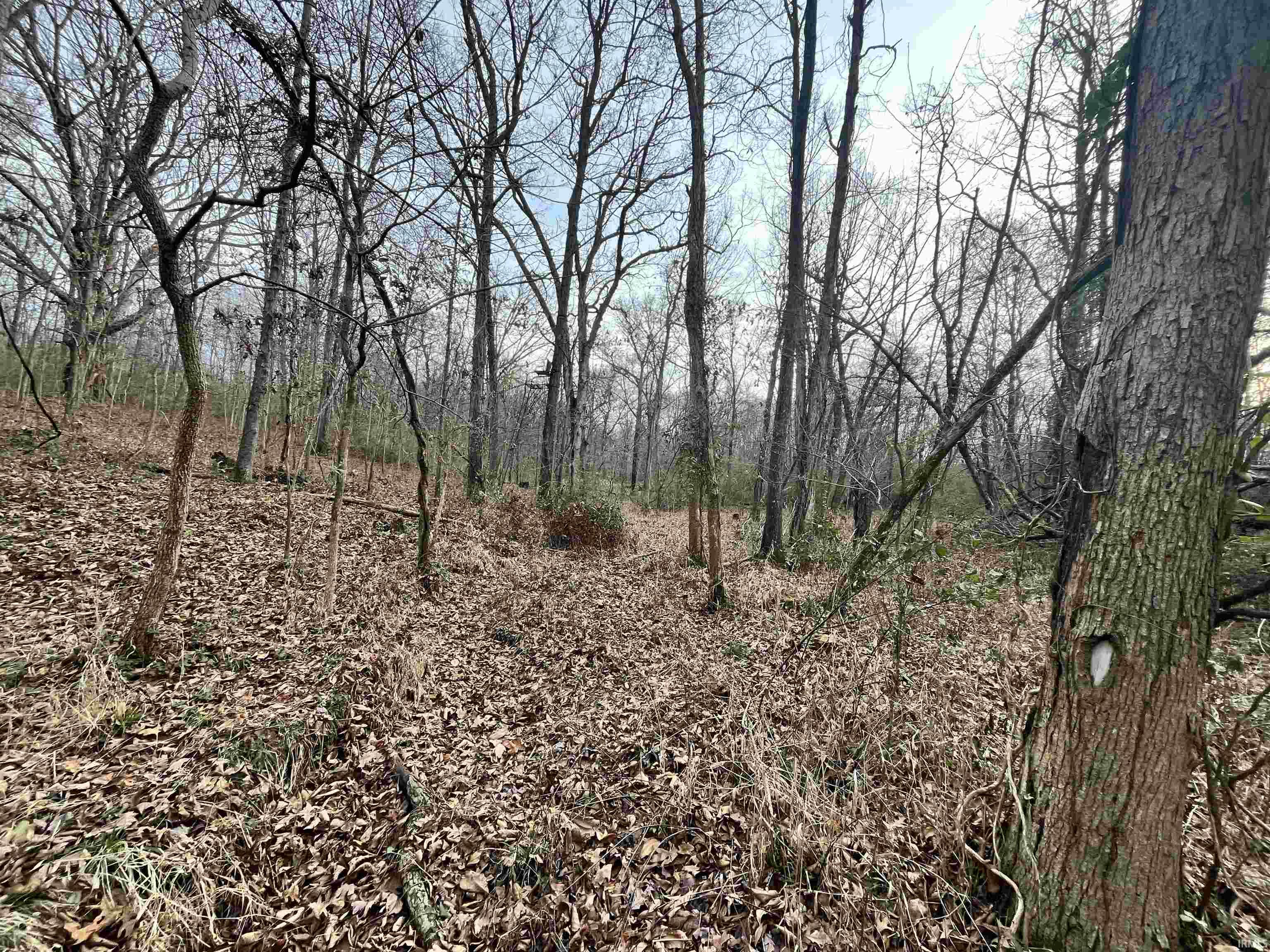Applegate Road