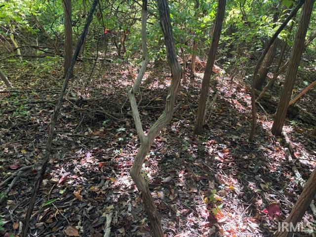 4554 Indiana 61 Highway