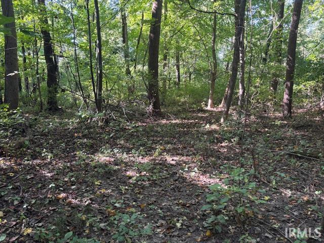 4554 Indiana 61 Highway