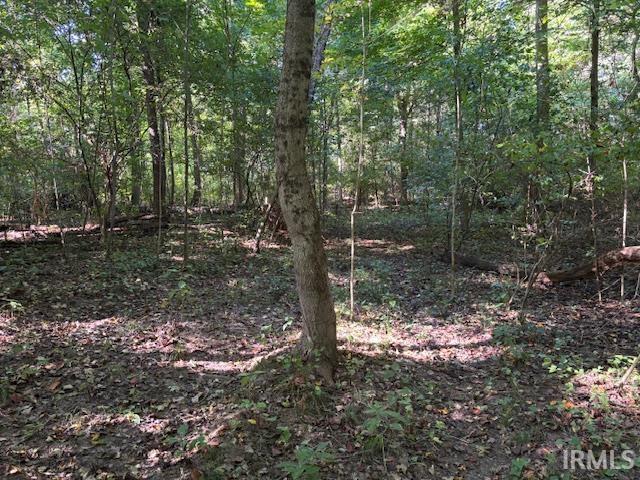 4554 Indiana 61 Highway